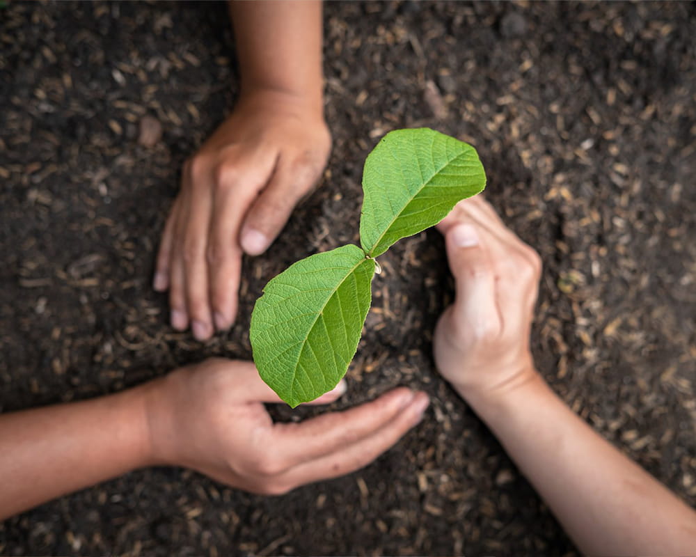 Sustainability Approach